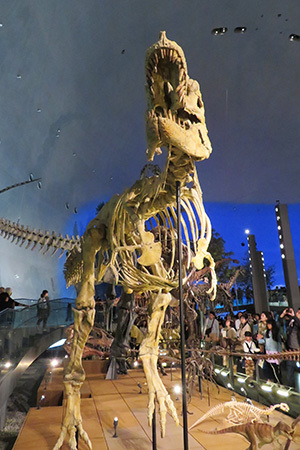 恐竜博物館_1806.JPG