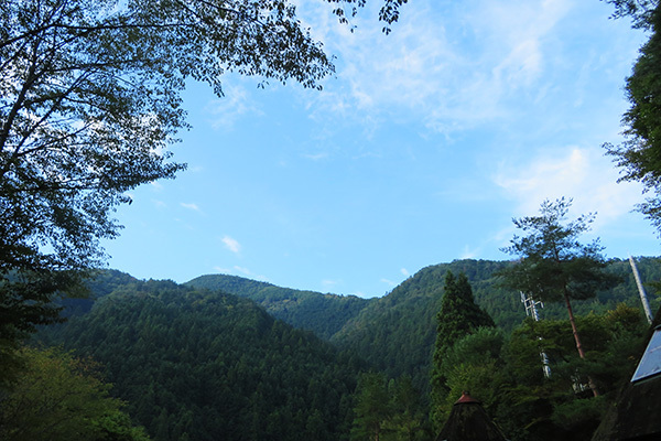 森林公園2_いい天気_朝晴れ_0525_600.JPG