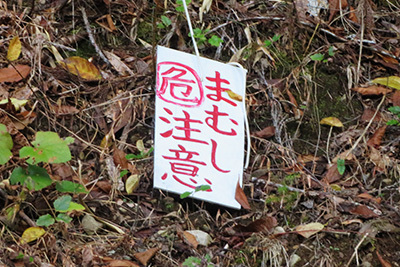 森林公園2_毒蛇マムシ注意_0517.JPG